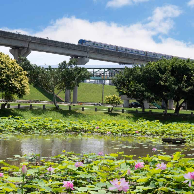 疏洪荷花公園